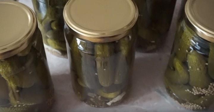 Хрустящие маринованные корнишоны