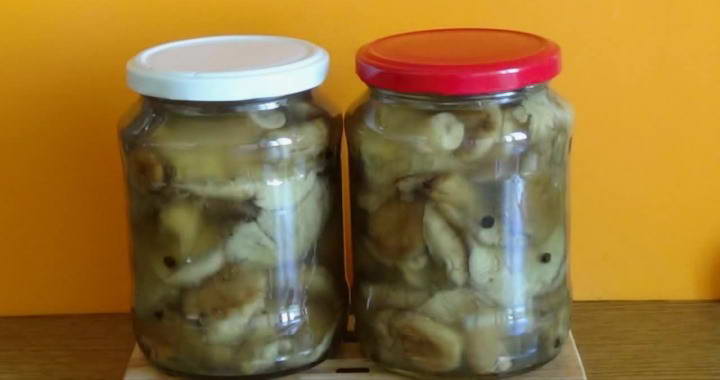 Маринованные волнушки