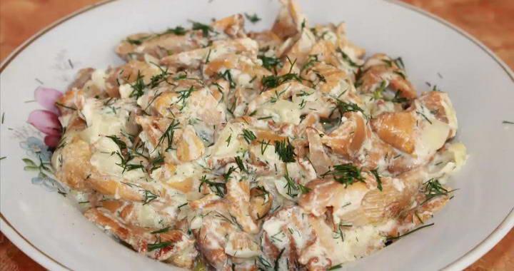 Жареные лисички со сметаной и луком