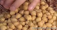 Шаг 5