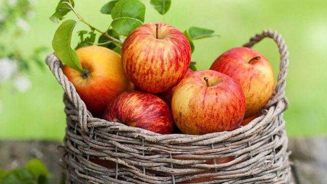 Какие яблоки лучше взять для сока